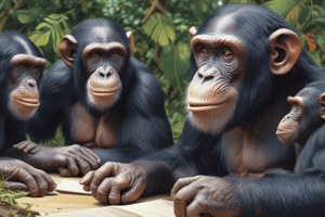 Chimpanzees' Short-Term Memory vs Human Language Evolution