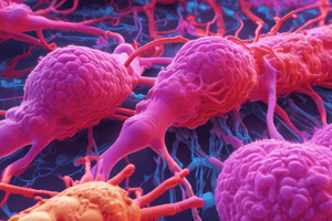 Movement of Molecules in Capillary Endothelial Cells