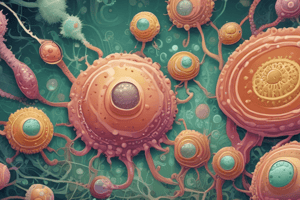 Bacteria Spores Characteristics