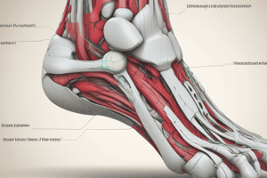 Foot and Ankle Function Quiz