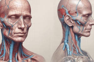 Internal Medicine: Venous Anatomy