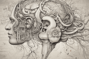 Olfactory Pathways: Course and Structure