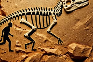 Evidence for Evolution Quiz