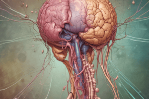 Pheochromocytoma: Adrenal Medulla Tumor