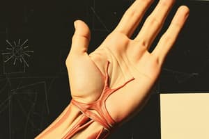 Wrist Motion and Muscle Innervation