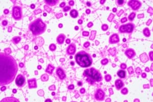 Gram Staining Techniques