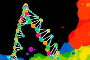 DNA Replication in Eukaryotes and Prokaryotes