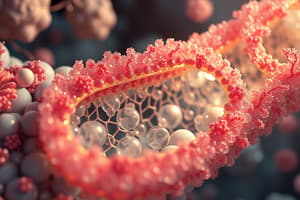 Cell Membrane and Membrane Transport Quiz