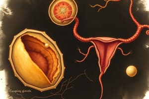 Gametogenesis and Reproductive System