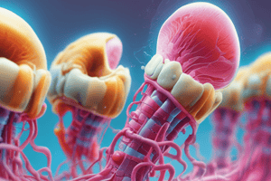 Hyperplasia in Dentistry Quiz