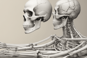 Skeletal System Quiz