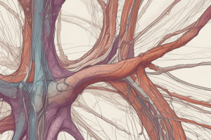 Lecture 6:Nervous System Anatomy and Physiology