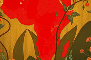 The Chinese-African Relationship Overview