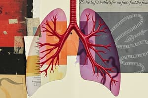 Aparato Respiratorio - Biología 10°