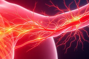 BLOCK 3: AHE: (3.3) PERIPHERAL NERVOUS SYSTEM