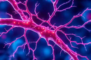 Neuroscience Quiz on Myelin and Neurotransmitters