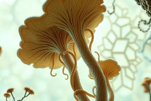 Structure and Function of Fungi