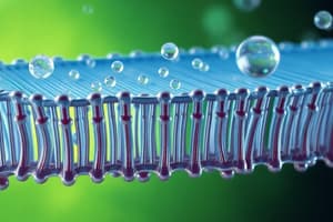 Cell Membrane Structure and Function