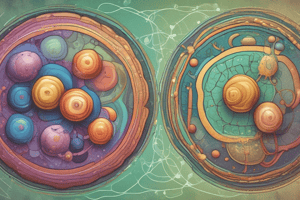 Eukaryotic Mitosis and Cell Division