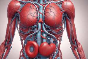 Cuore e Vasi Sanguigni Anatomia e Fisiologia