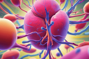 Kidney Regulation of Phosphate Concentration Quiz