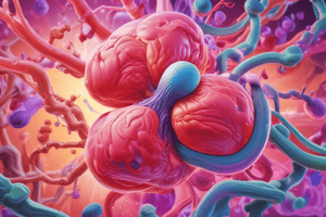 Renal Drug Elimination Pathways Quiz