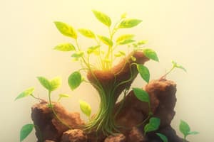 Plant Biology Quiz