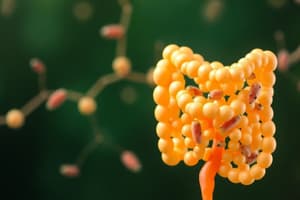 Prebiotics and Probiotics Overview