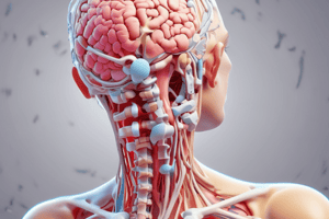 Neurological Testing in Cervical Pain Physiotherapy Quiz