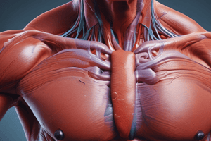 Anatomy: Trapezius and Latissimus Dorsi Insertion and Function