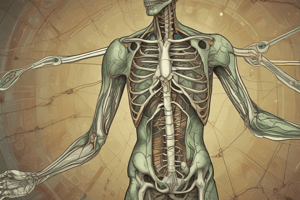 Lymphatic System Functions and Components