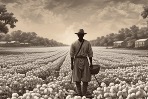 Cotton Boom and Slavery