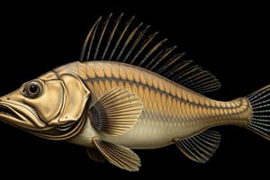 Superclass Agnatha: Jawless Fish Overview