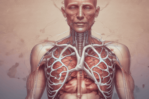 Introduction to the Respiratory System