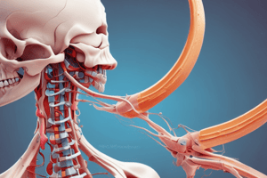 Degenerative Cervical Myelopathy Overview