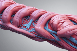 Ch 12 part 1 Muscle Structural Proteins Quiz