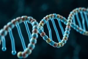 DNA Structure and Nucleotide Basics