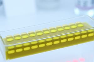 Molecular Biology Electrophoresis Quiz 3