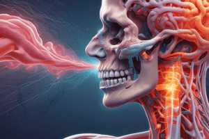 Acetylcholine Pathway in Salivary Glands