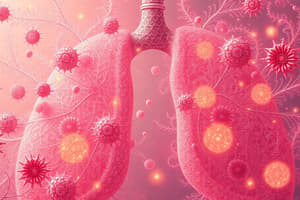 Pleural Effusion Overview