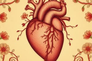 Fetal Heart Circulation and Development