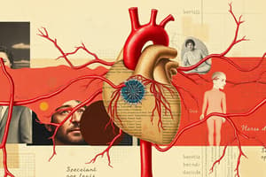 Cardiovascular System Overview and Function