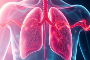 Pulmonary Circulation Overview