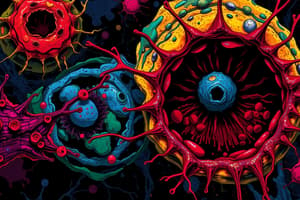 Cell Death Mechanisms: Necrosis vs Apoptosis vs Autophagy