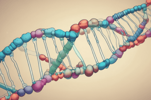 Estructura del DNA