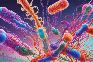 Enterobacteriaceae Characteristics and Classification Quiz