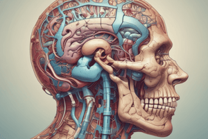 Neuroanatomy: Ascending and Descending Pathways