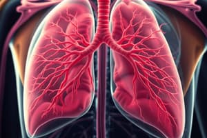 Biology Chapter: Respiratory & Circulatory Systems