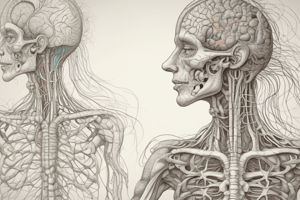 Physiology of Nervous System Lecture 6