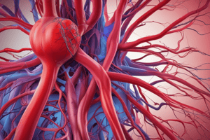 Ch 14 Part 2 - Blood Vessels and Pressure Quiz